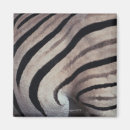 Suche nach zebradruck magnete Tier