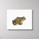Suche nach reptil leinwandbilder Wild lebende tiere