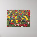 Suche nach monet tulpen poster Blume