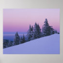 Suche nach bachelor poster Winter