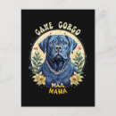 Recherche de cane corso cartes postales Chien