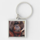 Suche nach orang utan schlüsselanhänger Tier