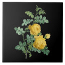 Suche nach vintage illustration fliesen Botanisch
