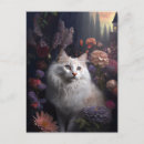 Suche nach angora postkarten Katze