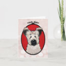 Suche nach briard karten Brille