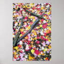 Suche nach boden poster Wald