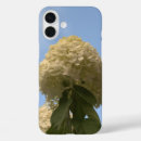 Suche nach hydrangea hüllen Quelle