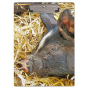 Suche nach niedliches schwein klemmbrett Schweine