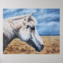 Suche nach graues pferd kunst Pferde