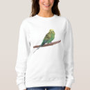 Suche nach budgerigar Papagei
