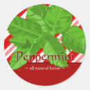 Suche nach pfefferminz aufkleber Zuckerrohre