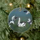 Suche nach mowes ornamente Vogelvogel