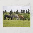 Recherche de agriculture cartes invitations Cheval