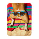 Recherche de beurres magnets Mignonette