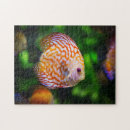 Suche nach schwimmen im wasser puzzle Tier