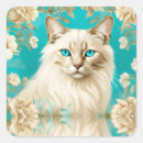 Recherche de lynx autocollants Chaton