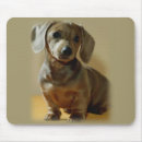 Suche nach dackeln mousepads Haustiere