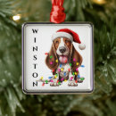 Recherche de noël de basset Mignon