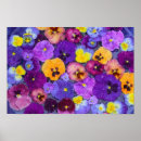 Suche nach flowers poster Purple