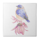 Recherche de oiseaux roses carreaux Mignon