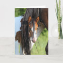 Suche nach verstecken karten Pferd