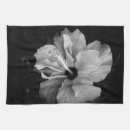 Suche nach makro geschirr tücher Fotografie