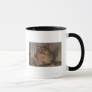 Recherche de st petersburg floride tasses Pétersbourg