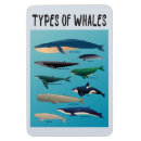 Recherche de animal lover magnets Pour tous