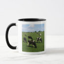 Recherche de vache holstein tasses Pâturage