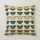 Suche nach entomologie kissen Biologie