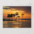 Recherche de mangroves cartes postales Nature