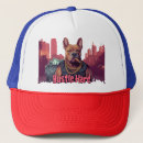 Recherche de pitbull casquettes Urbain
