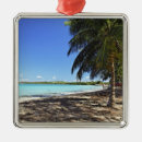 Suche nach meer ornamente Natur