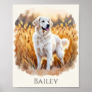 Suche nach goldener hund poster Haustiere