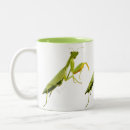 Recherche de mantis tasses Nature