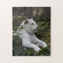 Suche nach white tiger puzzle Natur