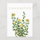 Suche nach charleston reise postkarten Modern