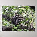 Suche nach animal kinder poster Adorable