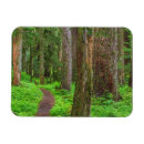 Suche nach alte wand magnete Wald