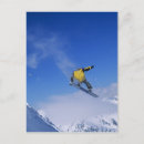 Suche nach grizzly poster Usa