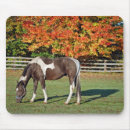 Recherche de peinture cheval tapis souris Ranch