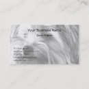 Suche nach yorkie visitenkarten Hund
