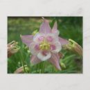 Recherche de macro photo cartes postales Printemps