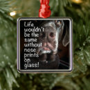 Suche nach nase ornamente Hund
