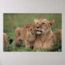 Suche nach serengeti nationalpark poster Masai mara nationalreservat