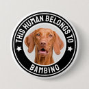 Recherche de personne de chat badges Animal
