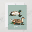 Recherche de canards cartes postales Eau