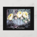 Recherche de épineux cartes postales Fleurs