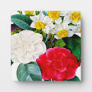 Recherche de fleurs vintages plaques Nature