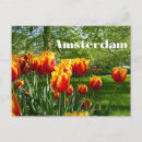 Recherche de prins cartes postales Fleur